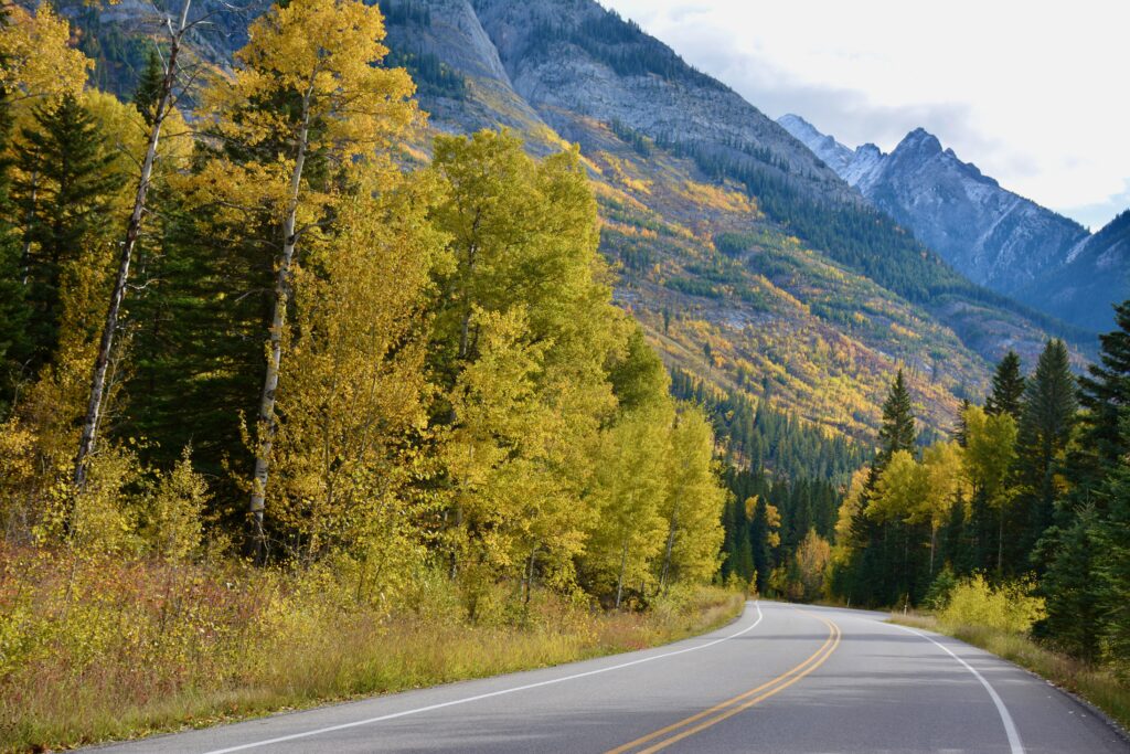Johnston Canyon Lodge & Bungalows