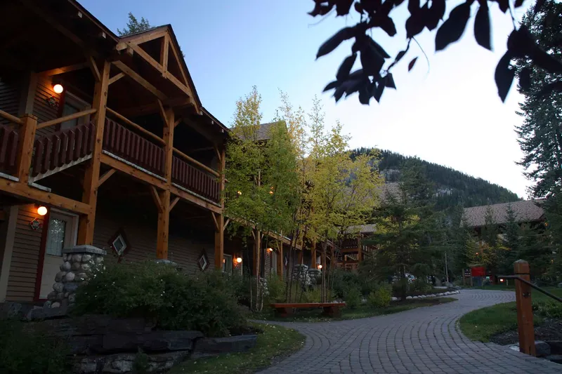 Buffalo Mountain Lodge timber chalets with paved courtyard and forested mountain backdrop.