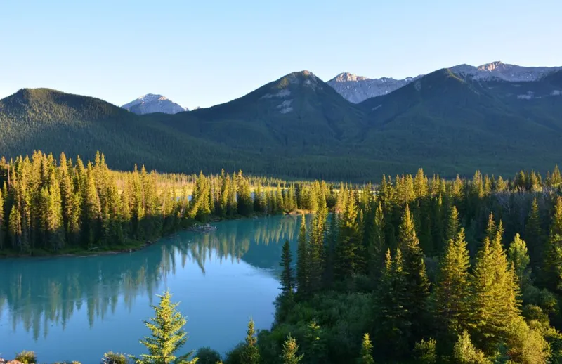 Johnston Canyon Lodge overlooks turquoise river winding through conifer forest with snow-capped peaks beyond.